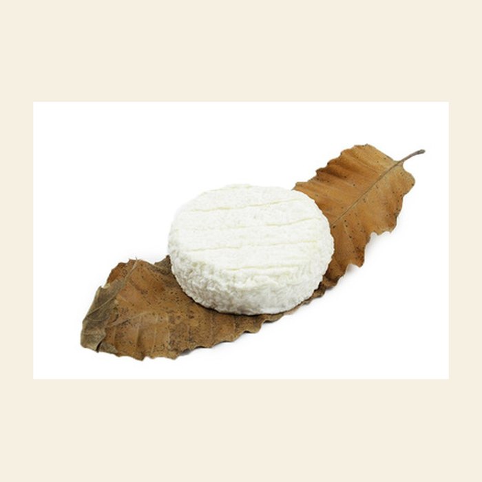 Mothais sur Feuille